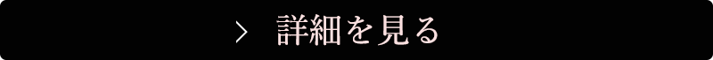 詳細を見る